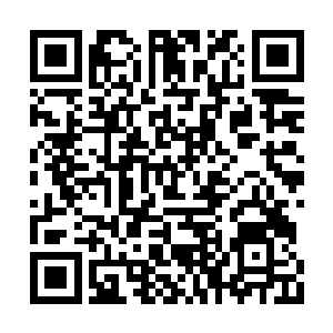 单单是酒柜的设计就必须考虑到这些精确的数据二维码生成