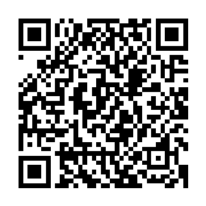 单单是阳护法和三师叔这在全世界都算得上是一等一的好手了二维码生成