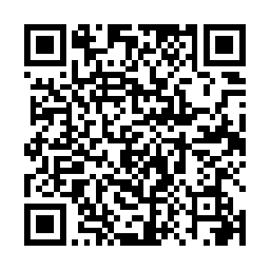 单娆现在能想到的只有一个最古老但最有效的办法怀孕二维码生成