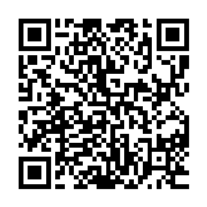 单调的世界激扬出缤纷的色彩――这或许是冥界最美丽的时刻二维码生成