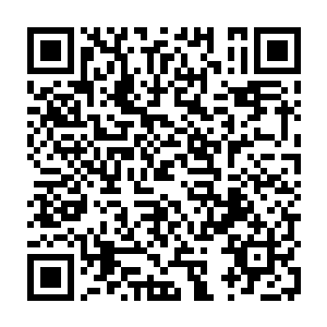 单靖柔掌握的资源还是很丰富的――那些追求者里不乏会追查别人ip的小黑客二维码生成