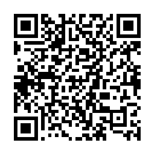 单飞讲的是应该实行高速公路和普通公路相结合的办法二维码生成