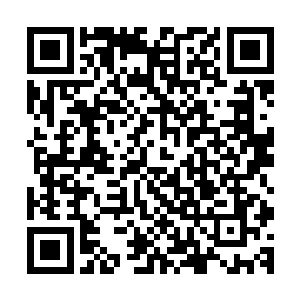卖主再去拿着高扬他们填好的表格去找fbi核实高扬他们的身份二维码生成