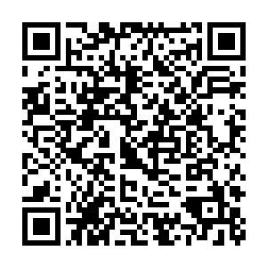 南南已经趁着屋里的人在互相吹捧不注意的时候拉着他悄悄的离开了二维码生成