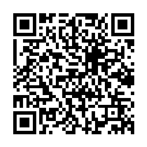 南宫二少那双犀利冰冷嗜血的眼眸……他就一种如芒在刺的感觉二维码生成