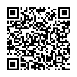 南宫墨渊深冷的视线从眼前这发出哀嚎声的大臣们脸上一一扫过二维码生成