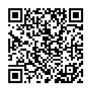 南宫家族的当代家族南宫长风已经从自己的座位上站了起来二维码生成