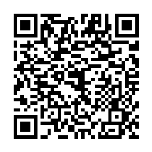 南宫家的人不会放过送到眼前的这位――上一个向导不见了二维码生成