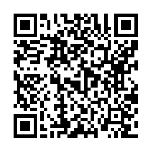 南宫家的那些老人们开始提出让南宫璟宸继承南宫家的意见二维码生成
