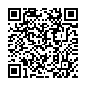 南宫无碍和南宫无垢只见柳逸尘好像刮地皮一样的采摘狩猎二维码生成