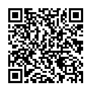 南宫流皓之所以一开始就用简单粗暴的手段赶苏落走二维码生成
