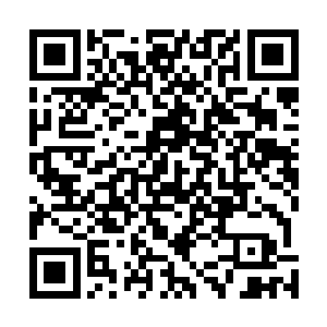 南宫流皓简直懵了……什么时候刑罚队的嬷嬷实力这强了二维码生成