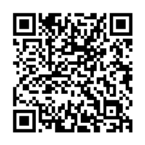 南宫燕也凭借这强大的能力和美丽的容貌赢得了一个响亮的外号二维码生成