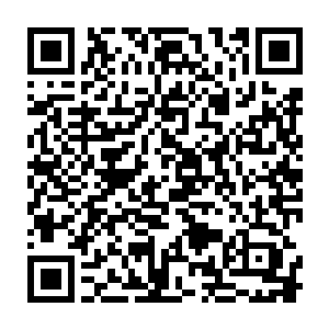 南宫老爷子不在的龙凤族……南宫流云还没成长到足够强大的龙凤族……二维码生成
