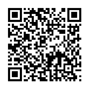 南寻风没有询问云起舞的意见便回答了殺茧的问题二维码生成