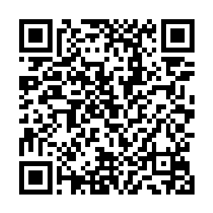 南林城的杨家和巨阙城的韩家也没有丝毫的动静全文阅读二维码生成