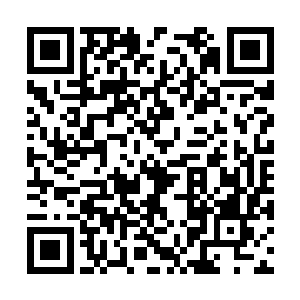 南梨国五皇子南璟可爱的娃娃脸上露出了一抹微笑二维码生成