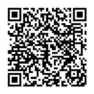 南海神尼和方祭司两大生死境的大能离去的时候还脸上满是恋恋不舍的姿态二维码生成