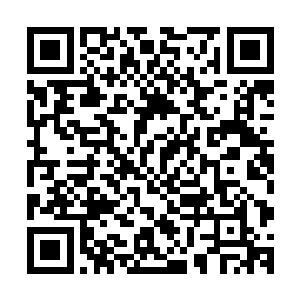 南溪斋内部的声音终于在三位师叔祖的强硬手段下得到了统一二维码生成