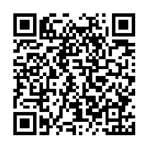 南瑾指指旁边一丛深绿草叶上留下的淡淡灰色痕迹二维码生成