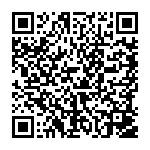 南美解放者杯确实是南美洲实力最高的比赛了但你能够第一个赛季就拿冠军二维码生成