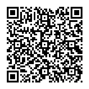 南茜多少有些妒忌地看了维吉利亚一眼――她已经全神贯注地聆听起了切萨雷的解说二维码生成