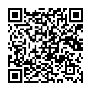 博陵崔氏的大公子也就是如今的武卫将军请旨去了漠北戍边二维码生成