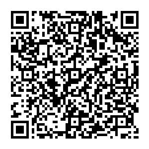 占据人体组成物质百分之七十以上的水份组织会通过凝集的水之脉轮经历一次元素界中水元素的洗涤和共鸣二维码生成