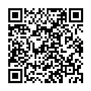 卡尔在头一天晚上特别叮嘱管家无论如何也要将他叫醒二维码生成