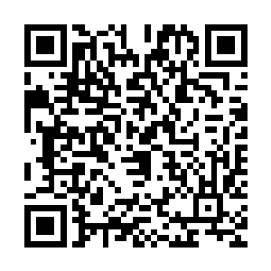 卡森看到了这一幕不由的伸手挠了挠头然后自言自语的说了一句二维码生成