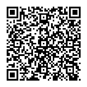 卡森看着贝海还准备推独木舟不由的指了下不远在沙滩上来回渡着步子的几只鹤鸟问道二维码生成