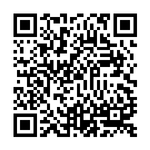 卢八娘只用了很短的时间就将她过去已经建立的威信收复了二维码生成