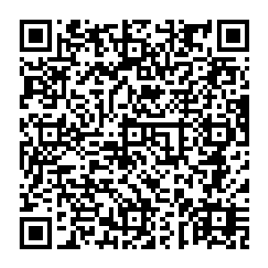 卢八娘正惬意地靠在一张软塌闲闲地听着新排出的戏剧――一个汉人家族与一个鲜卑家族百年的爱恨情仇二维码生成