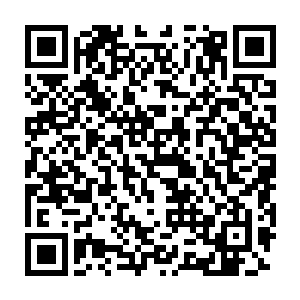 卢八娘注意到崔氏将一只镶着硕大红宝石的簪子也放入了一堆首饰中二维码生成