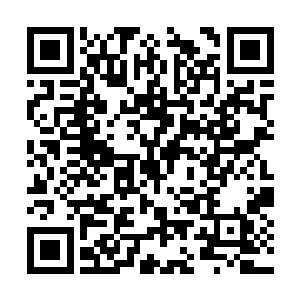 卢医生和列位老郎中则请教秦林什么叫做连锁医馆二维码生成