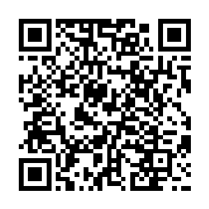 卢卡斯·萨顿表现出来的在门前的抢点能力让马加特很心动二维码生成