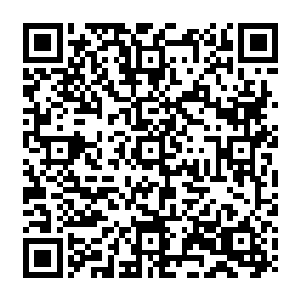 卢卡斯・萨顿又是一个从青年队来到一线队就进球的家伙尽管他现在还不为我们所熟知二维码生成