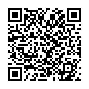 卢卡斯・萨顿就是圣保罗的弱点……但这只是表面现象二维码生成
