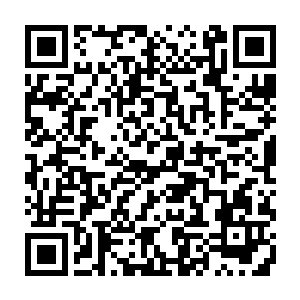 卢卡斯・萨顿有些受宠若惊――巴西国家队的大佬主动和自己打招呼握手啊二维码生成