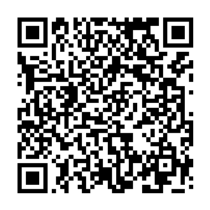 卢卡斯本来想推动乔什和她在一起的……这个恋爱合约并不是暴君的操纵二维码生成