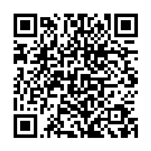 卢家不是说过有万剑门有一位前辈和他们家的关系很不错吗二维码生成