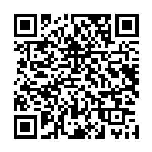 卧槽尼……你居然宁可自爆肉身也不跟我回去帮忙……你狠二维码生成