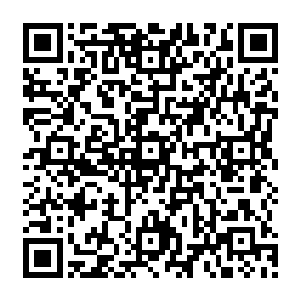 卫生部官员向世卫组织及相关撒那特斯病毒肆虐的国家介绍了中国防控撒那特斯病毒的经验二维码生成