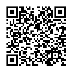 卯荼曾经是被金龙坑成什么样才会这露出这般沧桑的模样啊··二维码生成