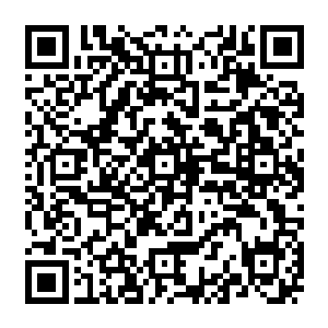 即使一路早已习惯了那些大部分都刻意露出部分种族特征的非人族的仙人们的模样二维码生成