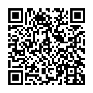 即使他曾和流墨墨还处于同生状态的时候已经知道了那段记忆二维码生成
