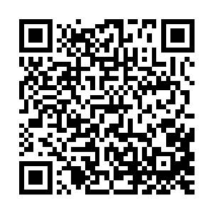 即使寻常妖皇和问道大修士在他眼中和凝灵境修士也没多大区别二维码生成