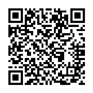 即使是水牛被他们咬上一口也会因为无药可救的感染而死去二维码生成