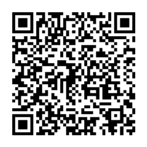 即使是血妖姬们也只能模糊知晓原生物的存在似乎在万族时期就有了二维码生成