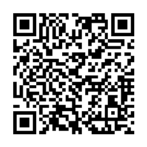 即使有了上午三小时狂售二十多万张专辑的记录在前二维码生成